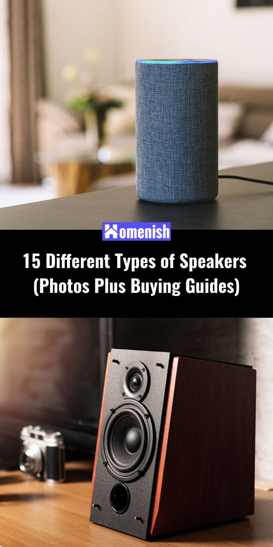 15 Different Types of Speakers 