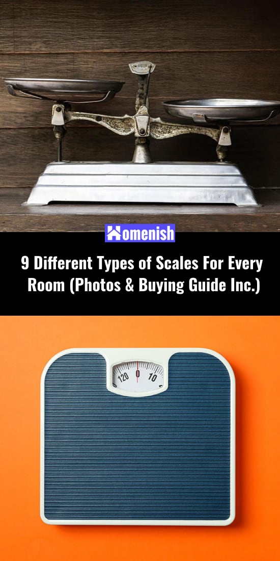 9 Different Types of Scales For Every Room