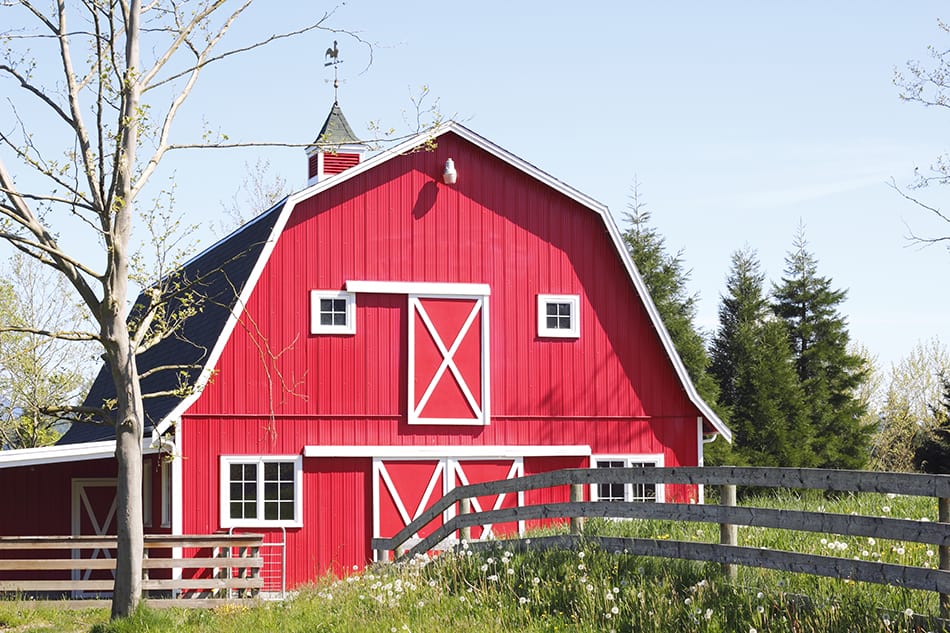 Barn Roof Styles