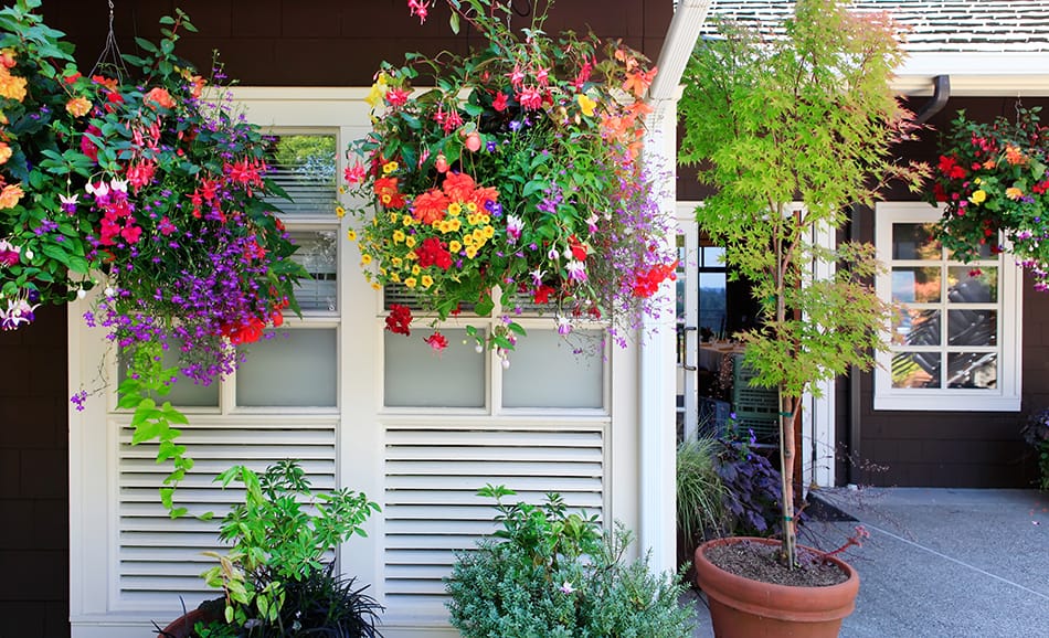 Colorful Floral Garden