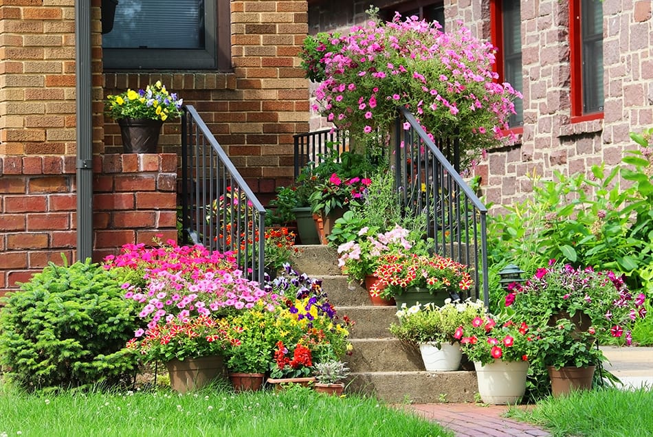 Floral Walkway