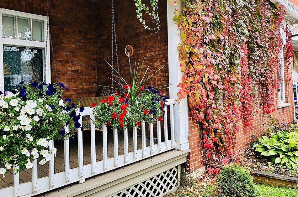 Railing and Flowers