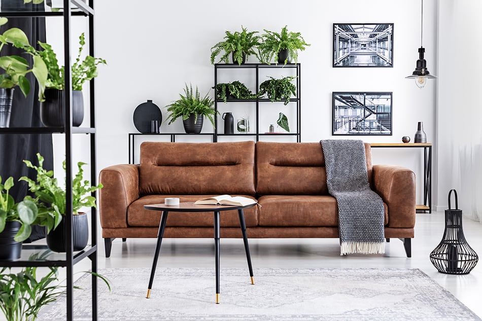 Surround the Leather Sofa with Plants