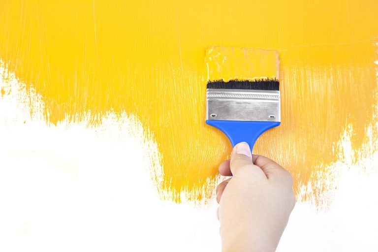 Different Types of Paint Brushes (Anatomy, Types, Sizes & Materials) Homenish