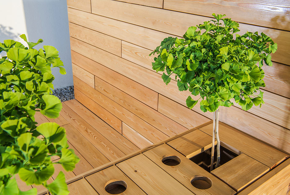 Wood Bench with Landscaping