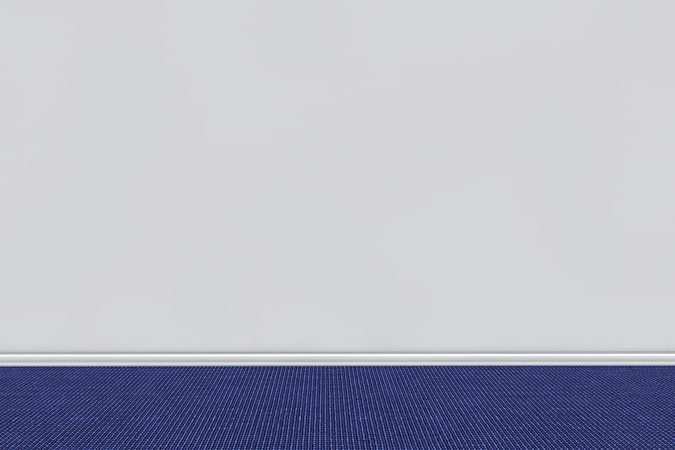 Blue Carpet for Light Gray Walls