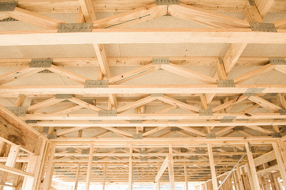 Ceiling Joists