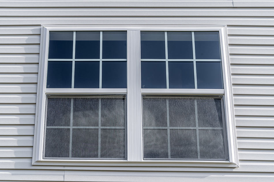 Double Hung Windows