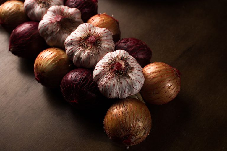 How to Get Rid of Lizards on Porch Homenish