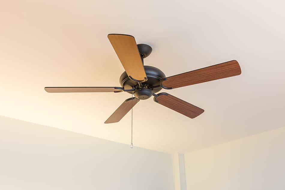 AC Motor Ceiling Fans