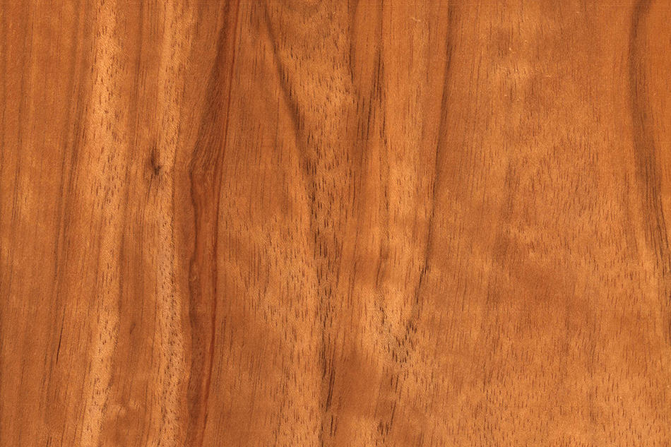 English Walnut Wood