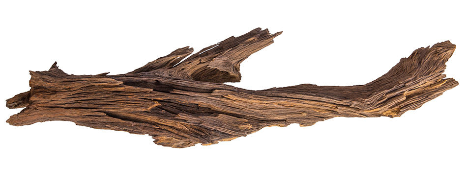 Ironwood or Lignum Vitae
