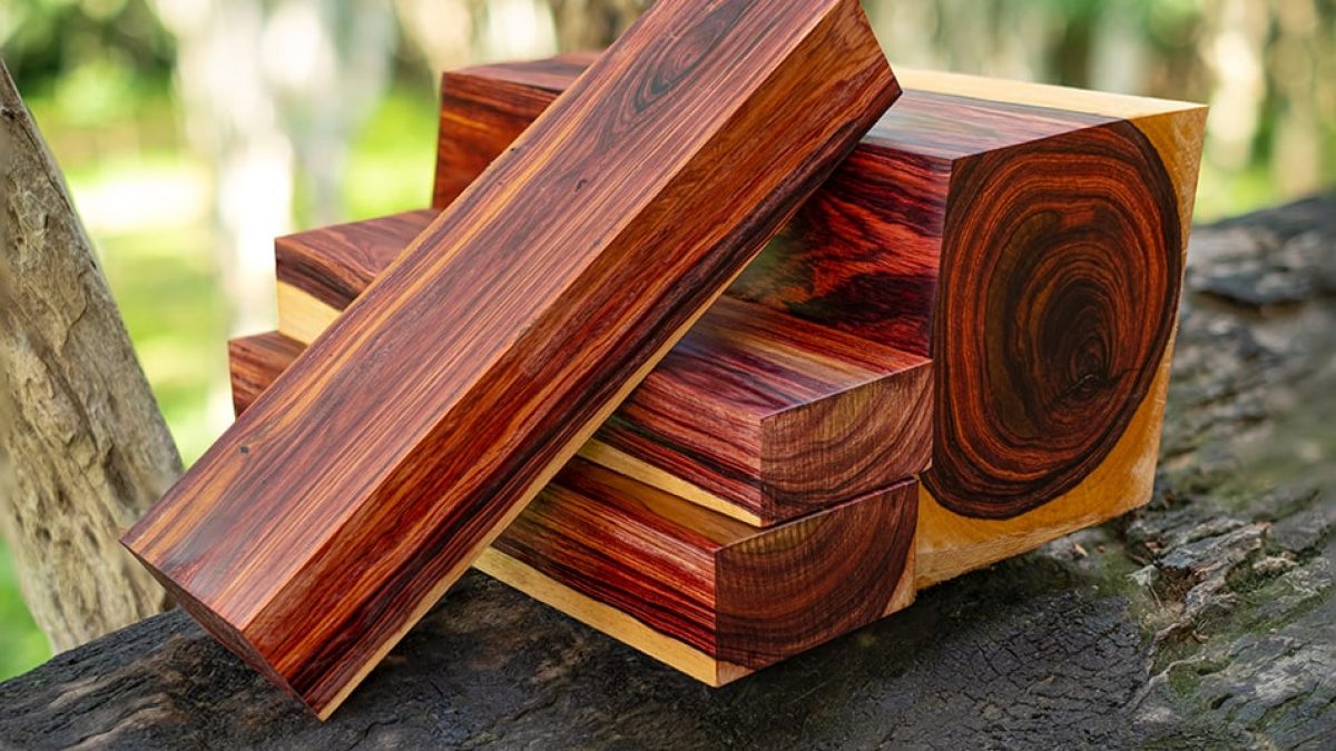 Senju Wood Most-Expensive-Wood-1200x675
