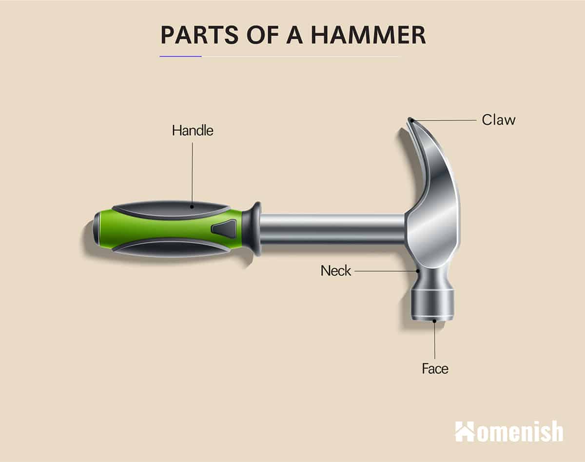 Parts of a Hammer Diagram