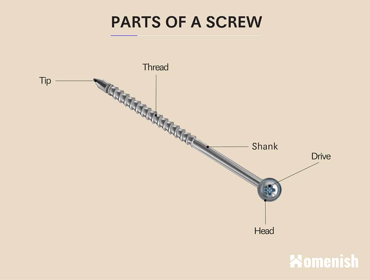 Parts of a Screw Diagram