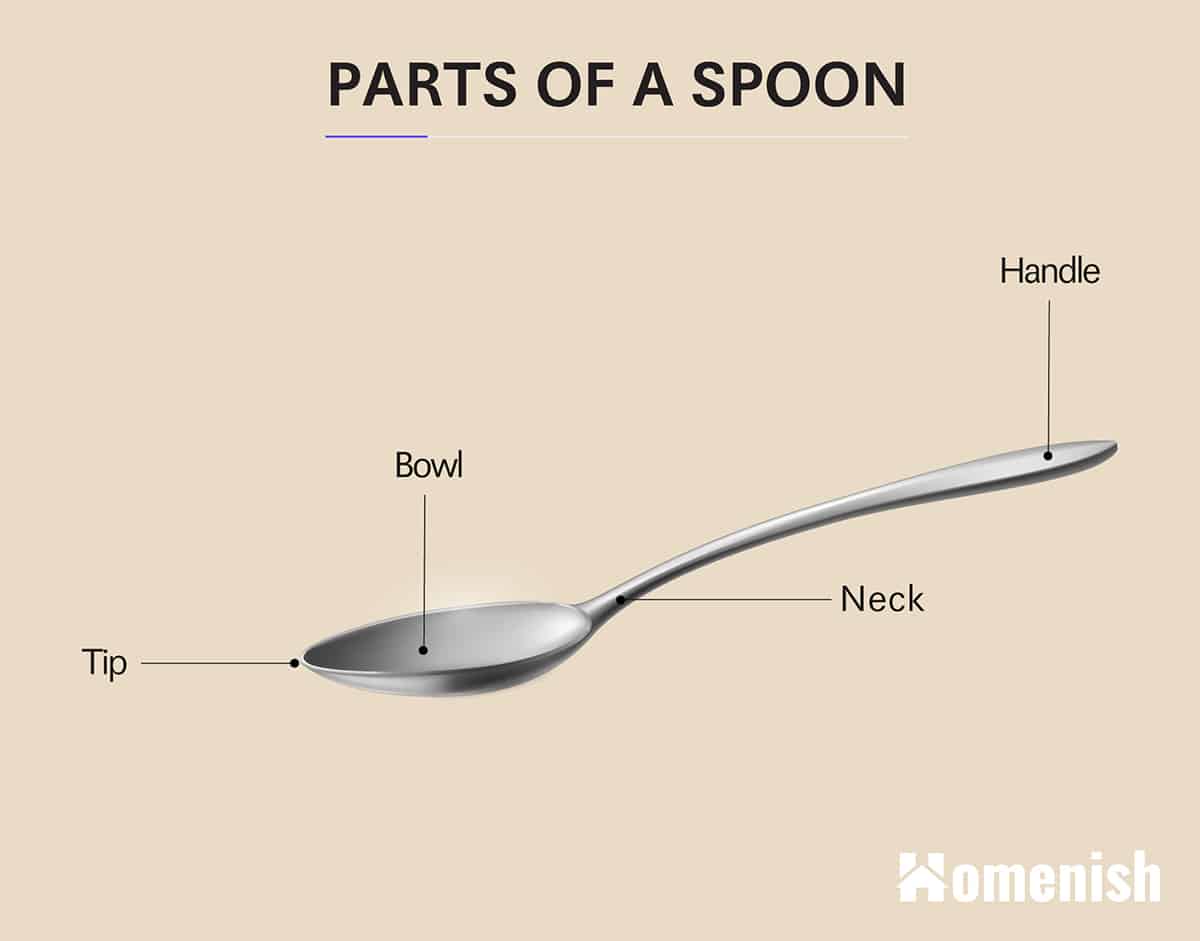 Parts of a Spoon Diagram