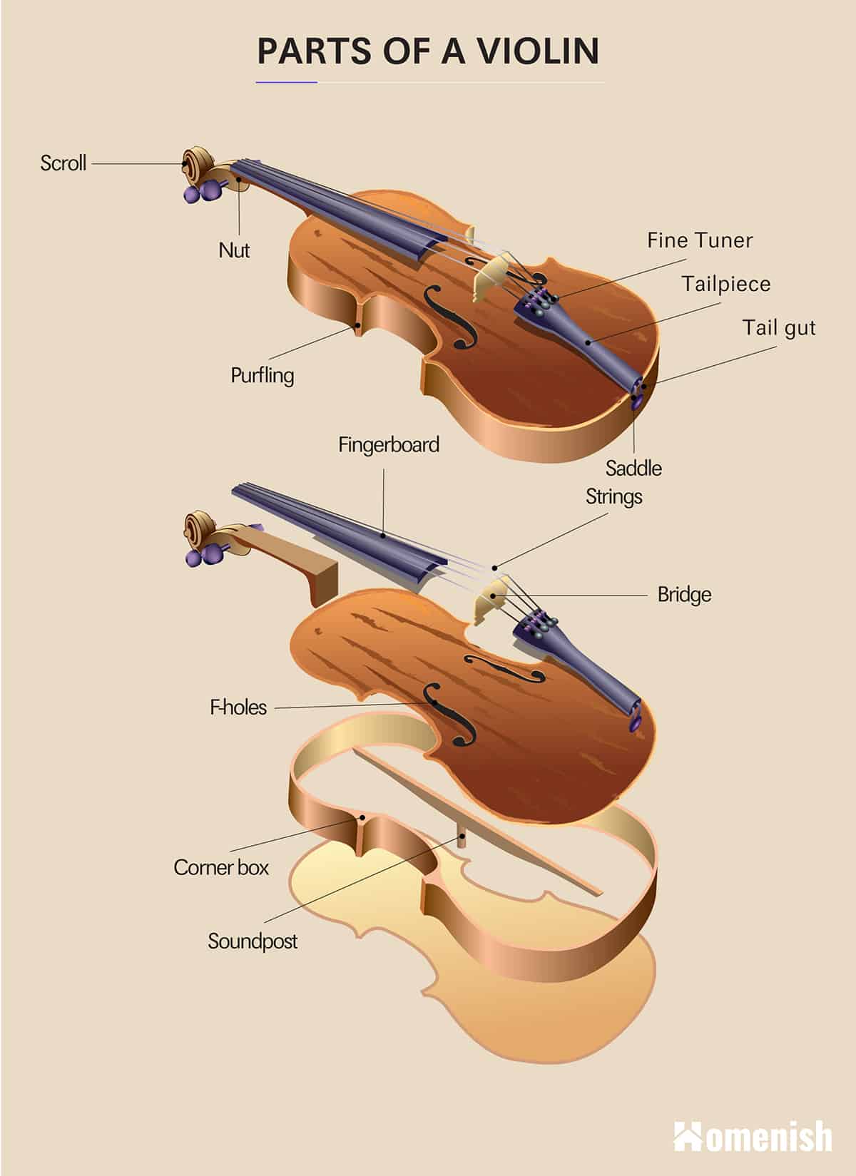 Parts of a Violin Diagram