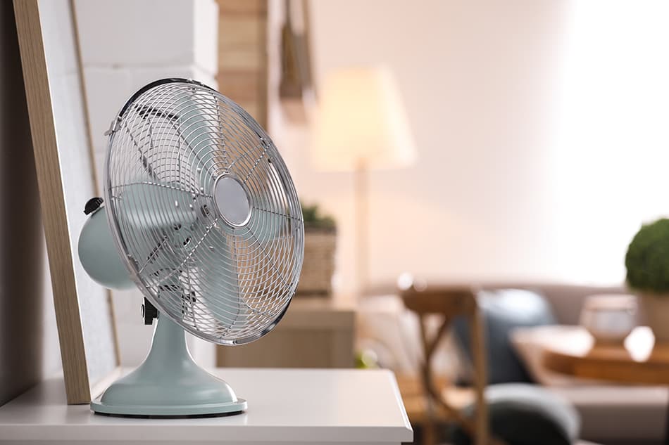 Table Fans