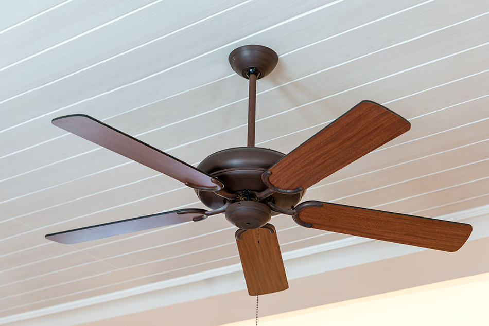 8 Diffe Types Of Ceiling Fans Homenish - Commercial Outdoor Ceiling Fans Wet Rated