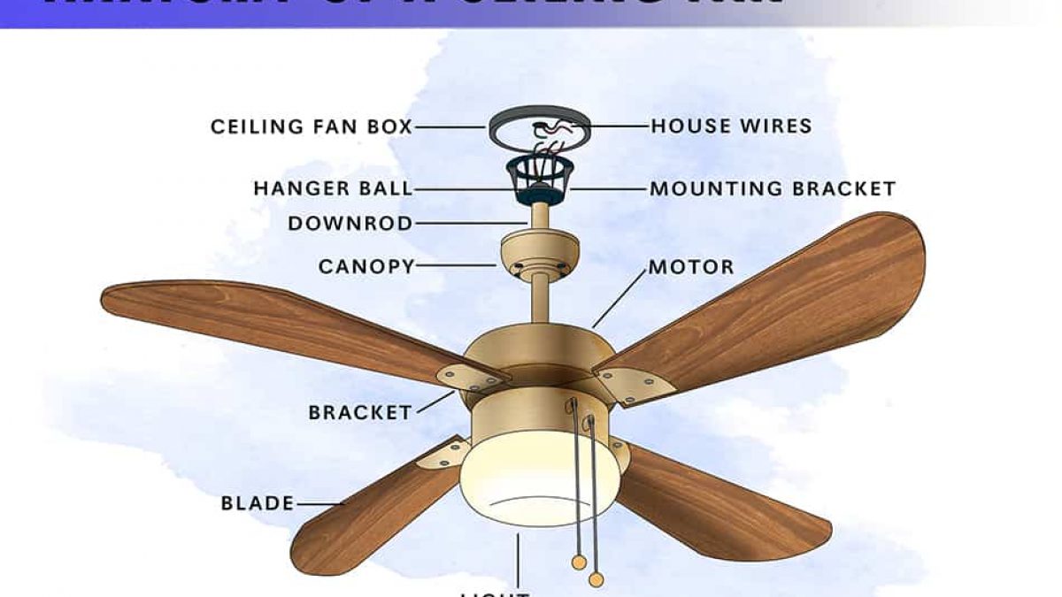 8 Parts Of A Ceiling Fan With Illustrated Diagram Homenish