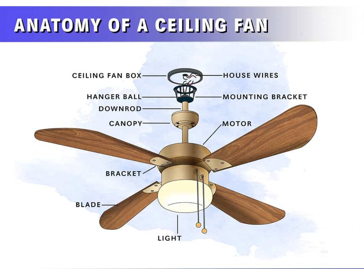 8 Parts Of A Ceiling Fan With, Basement Ceiling Fan Direction For Summer With Air Conditioning