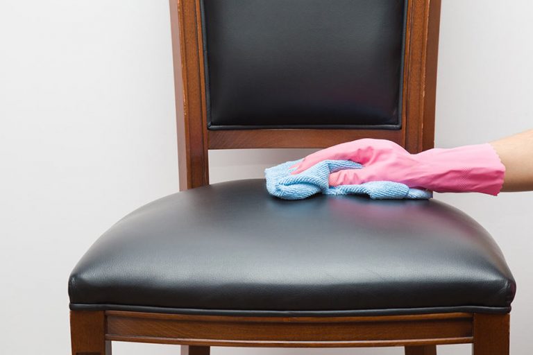 Can You Use Coconut Oil on Leather? Homenish