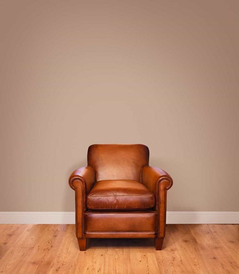 Can You Use Coconut Oil on Leather? Homenish