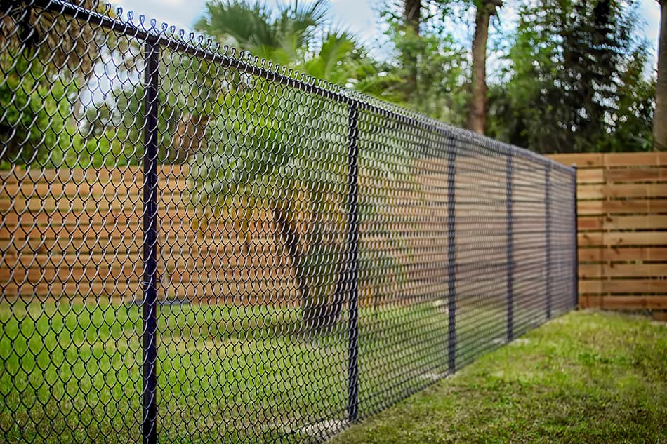 Chain link fences