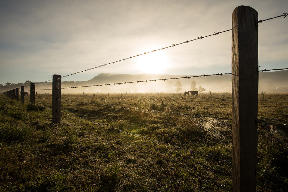 Farm fences