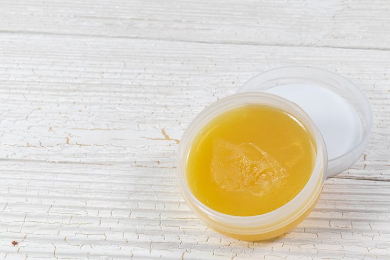 Can You Use Coconut Oil on Leather? Homenish