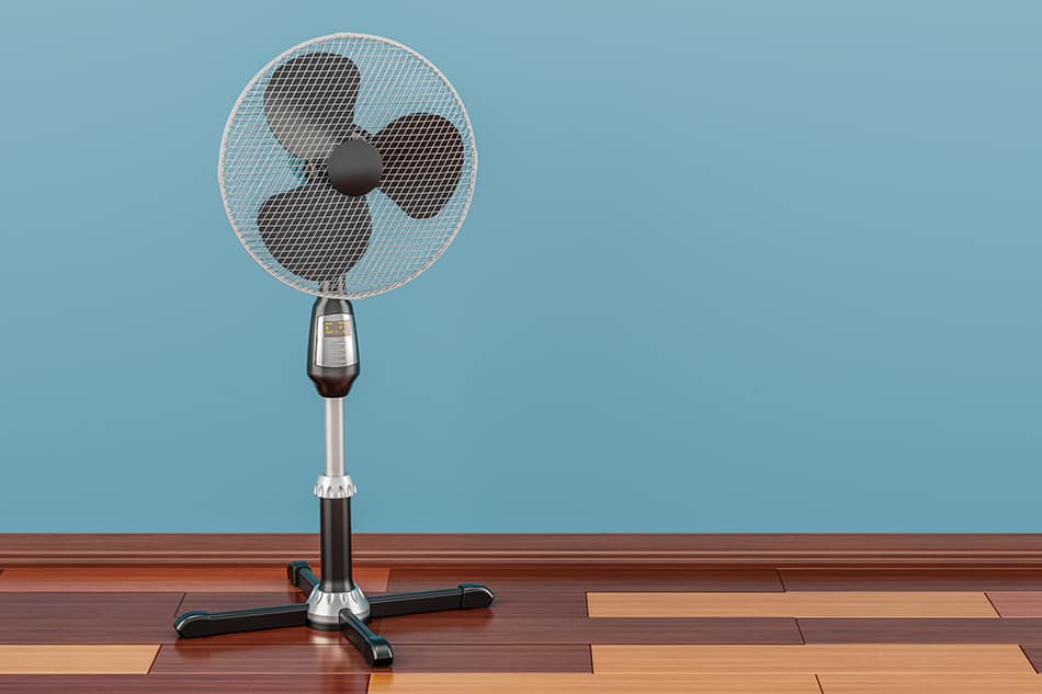 Pedestal Fan