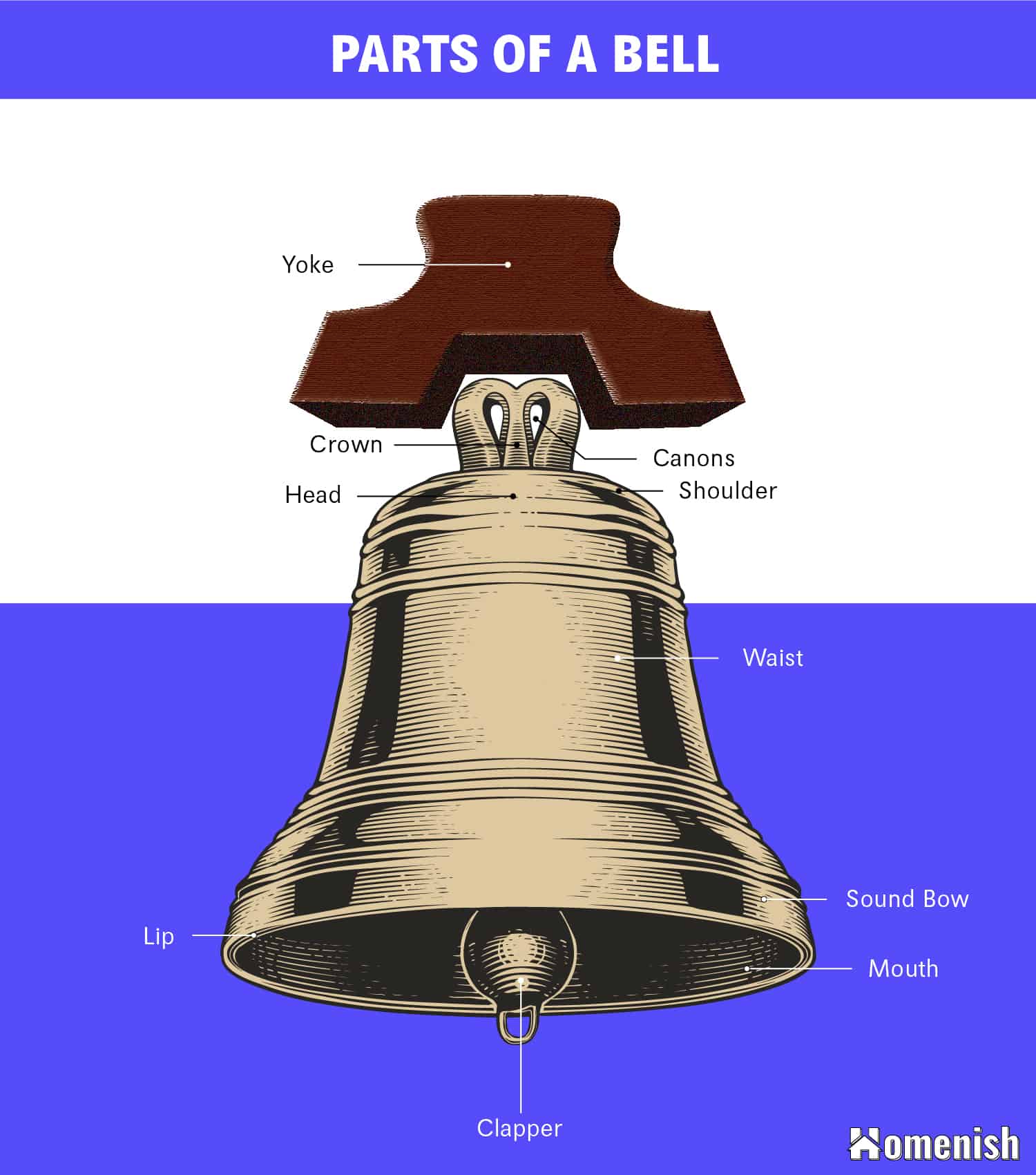 Parts of a Bell Diagram