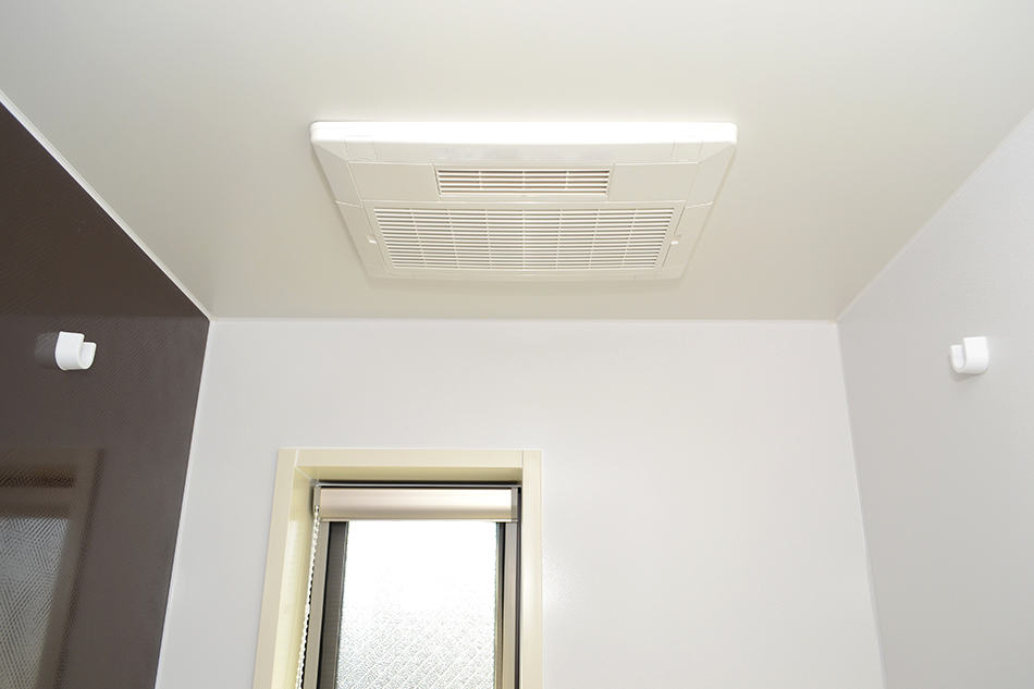 Bathroom Exhaust Fan Leaking Water When It Rains - Reasons and How to