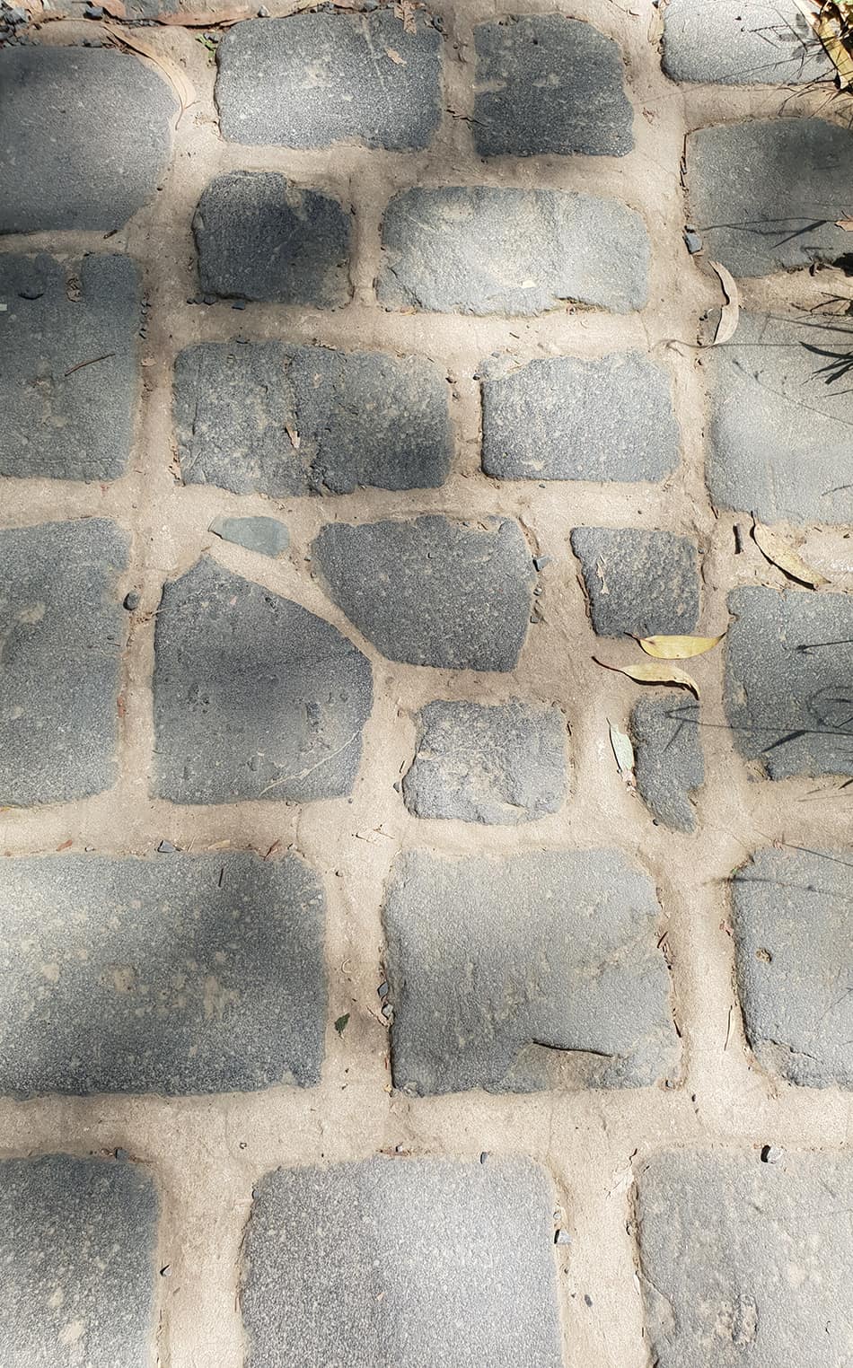 Bluestone Paver