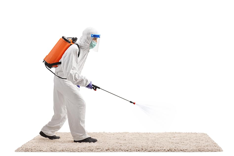 Call a Pest Control Service