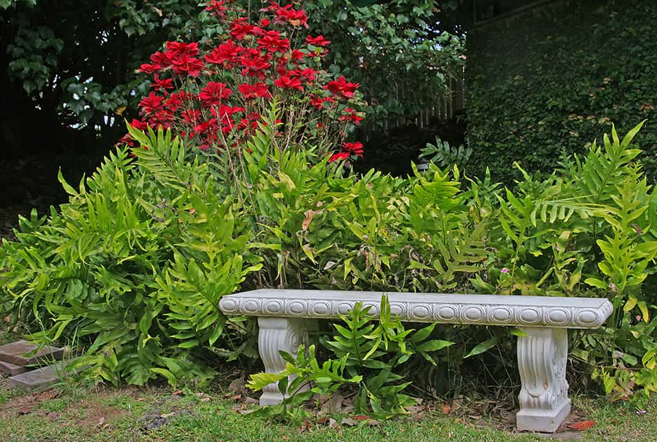 Concrete Bench