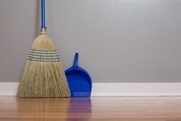 19 Different Types of Brooms (Uses, Materials, Broom Bristles