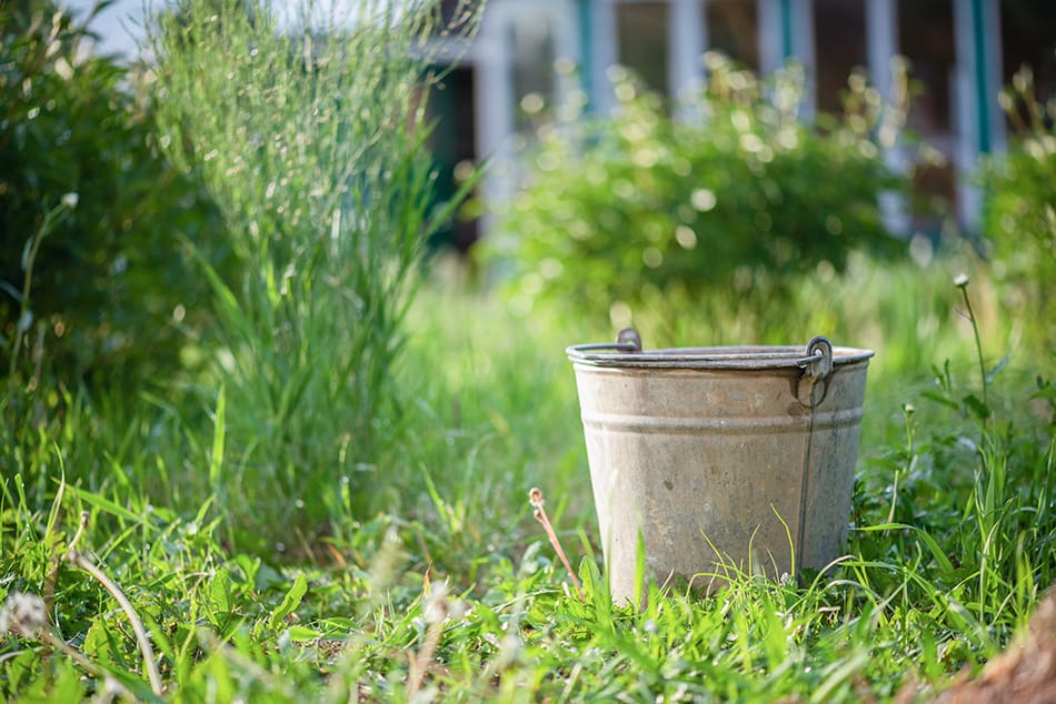 Farm Bucket