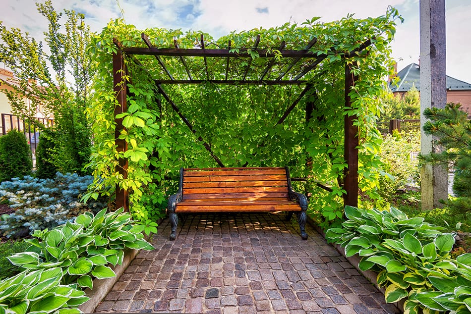 Garden Bench