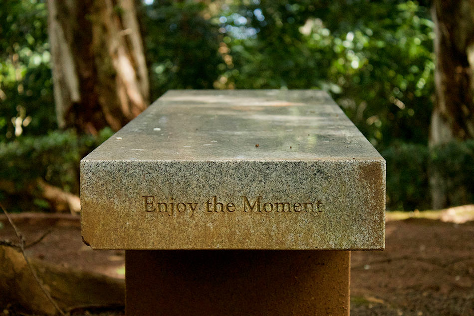 Memorial Bench