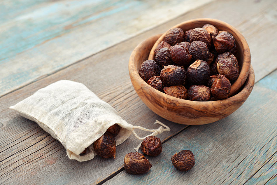 Soap Nuts