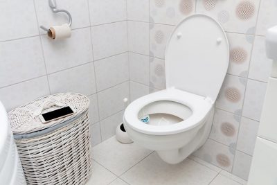 Types of Toilet Seats