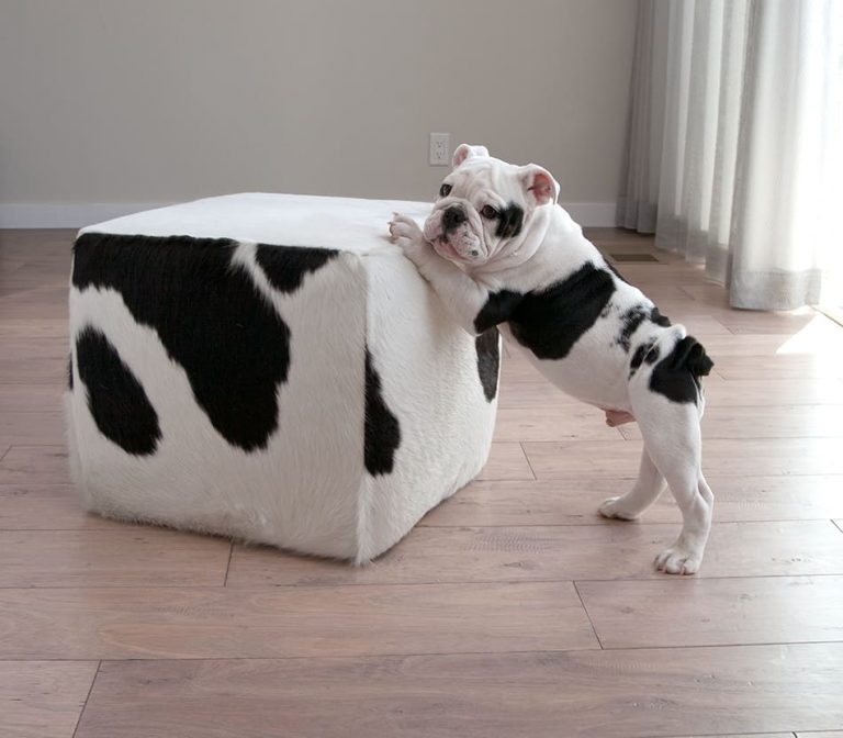 Ottoman Vs. Footstool Vs. Hassock What are Their Differences? Homenish