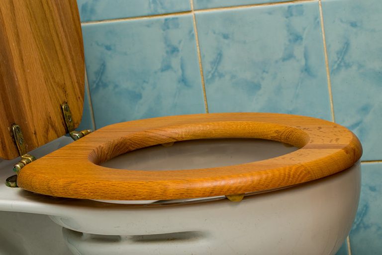 different types of toilet seats
