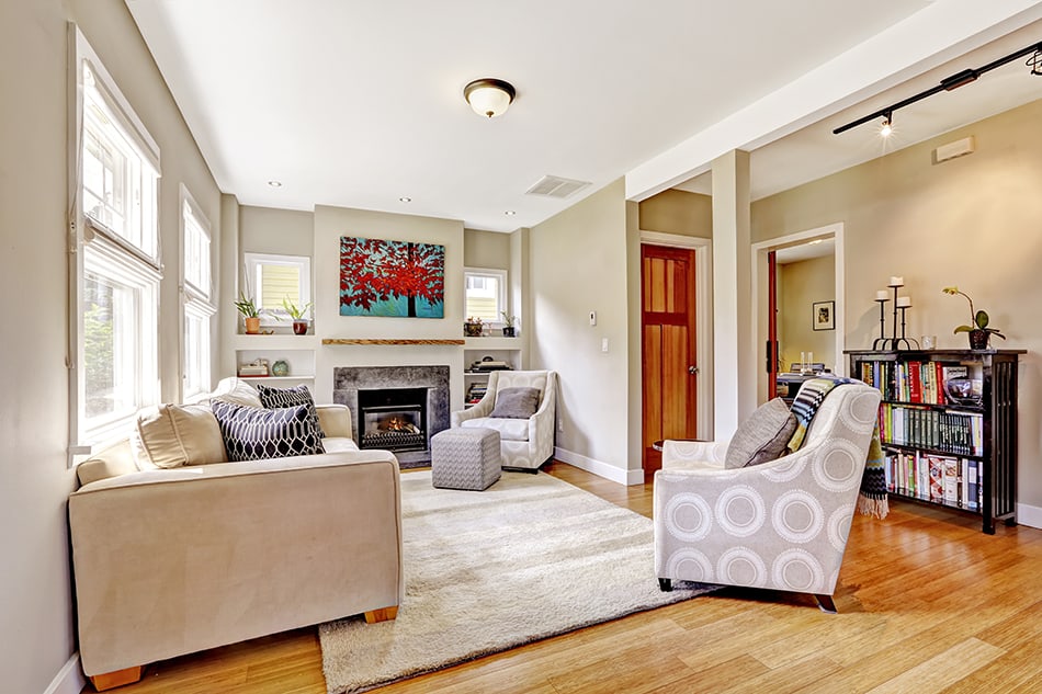 Entertaining and Socializing Living Room