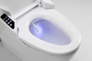 Incinerating Toilets Pros and Cons