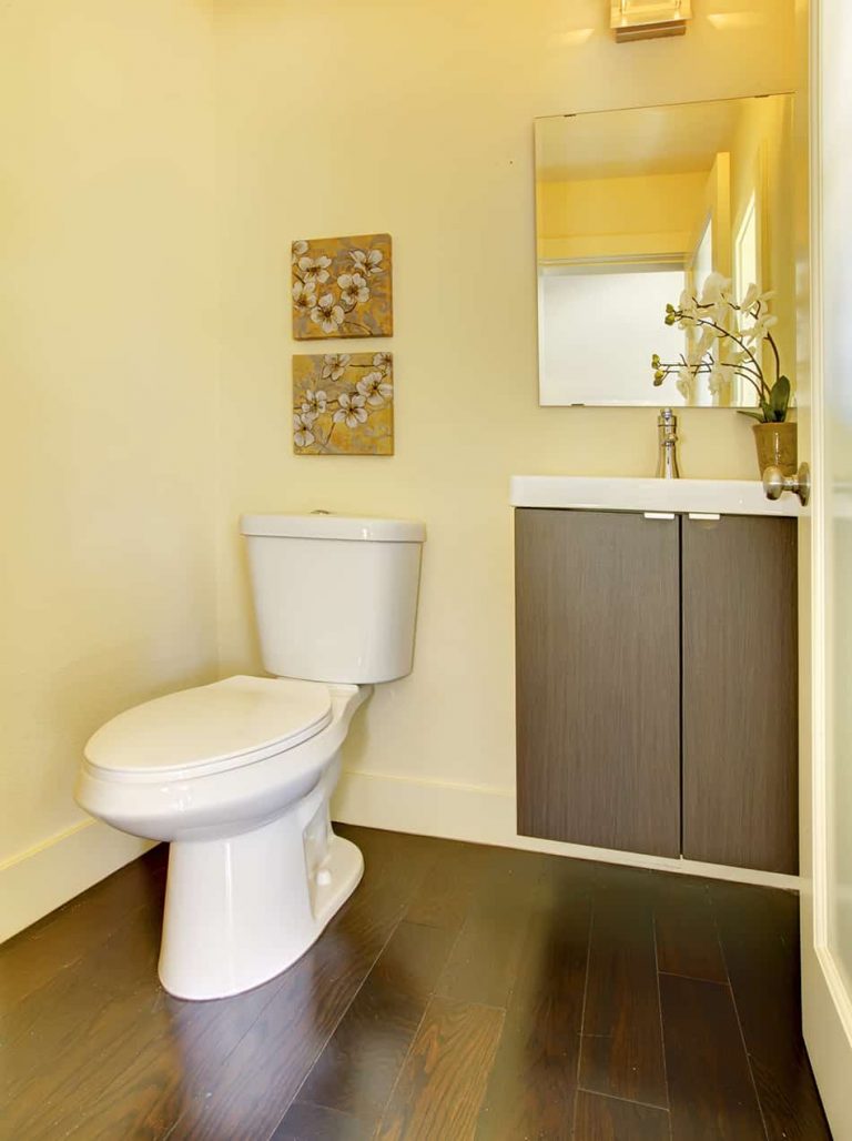 10 Ideal Paint Color for Small Bathroom with No Windows Homenish