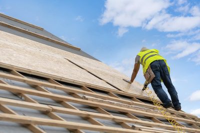 Plywood for the Roof