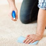 How to Get Flarp Out of Carpet