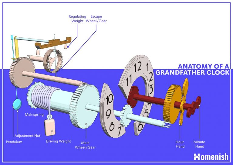 Essential Parts of a Grandfather Clock (Pendulum Clock) with Diagram